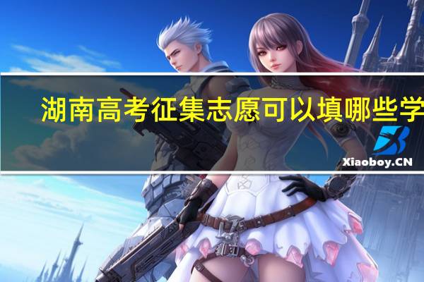 湖南高考征集志愿可以填哪些学校