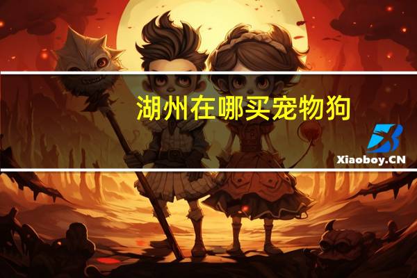 湖州在哪买宠物狗