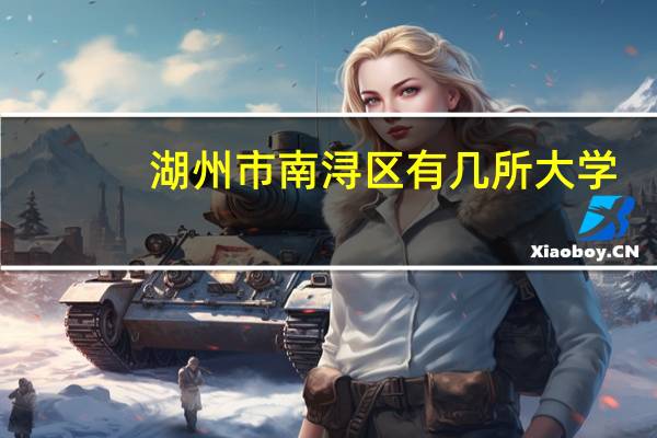 湖州市南浔区有几所大学