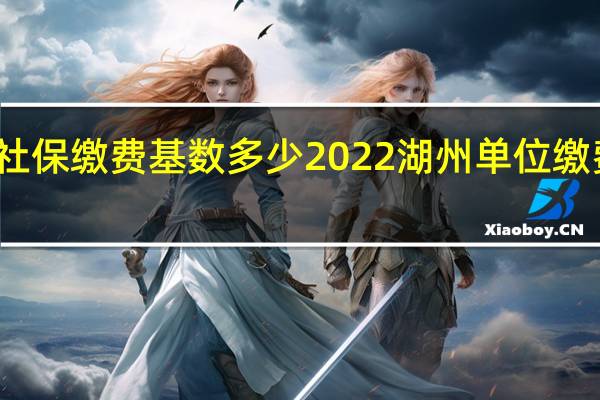 湖州社保缴费基数多少 2022湖州单位缴费比例一览