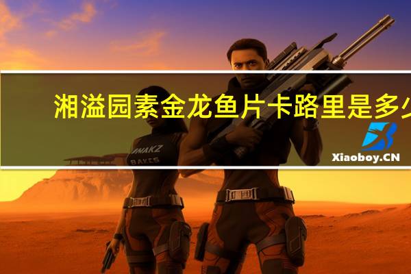 湘溢园 素金龙鱼片卡路里是多少