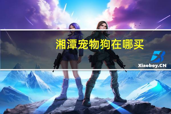 湘潭宠物狗在哪买