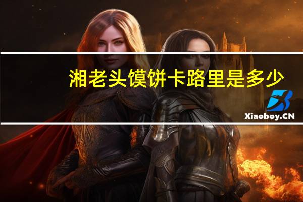 湘老头 馍饼卡路里是多少