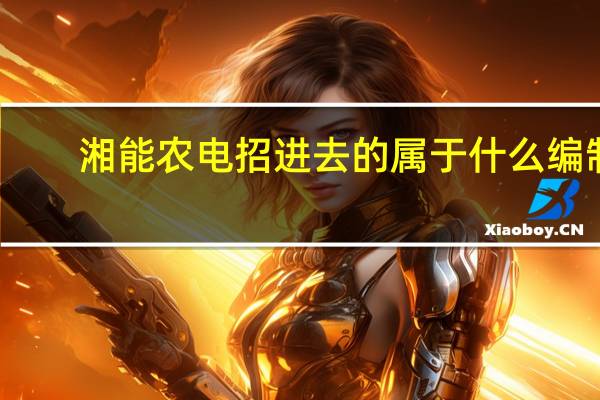 湘能农电招进去的属于什么编制