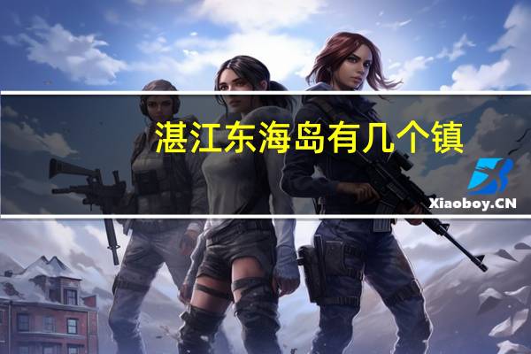 湛江东海岛有几个镇