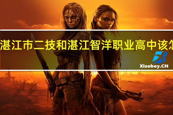 湛江市二技和湛江智洋职业高中该怎样选