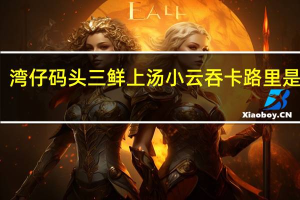 湾仔码头 三鲜上汤小云吞卡路里是多少
