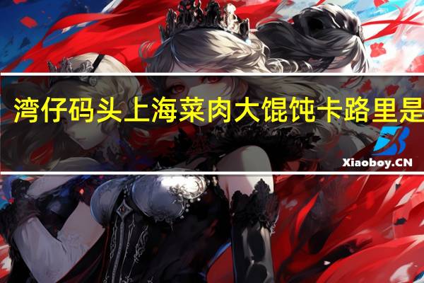 湾仔码头 上海菜肉大馄饨卡路里是多少