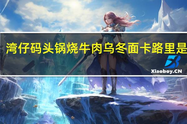 湾仔码头 锅烧牛肉乌冬面卡路里是多少
