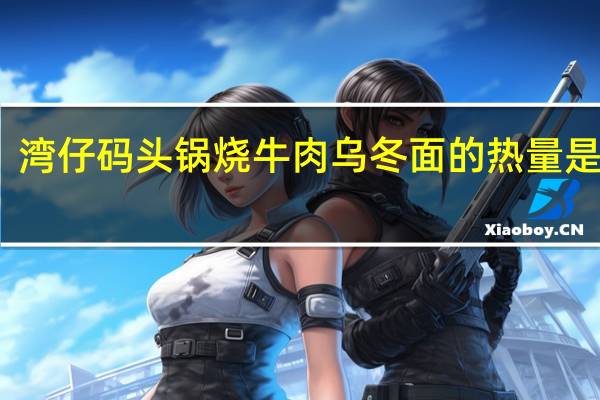 湾仔码头 锅烧牛肉乌冬面的热量是多少