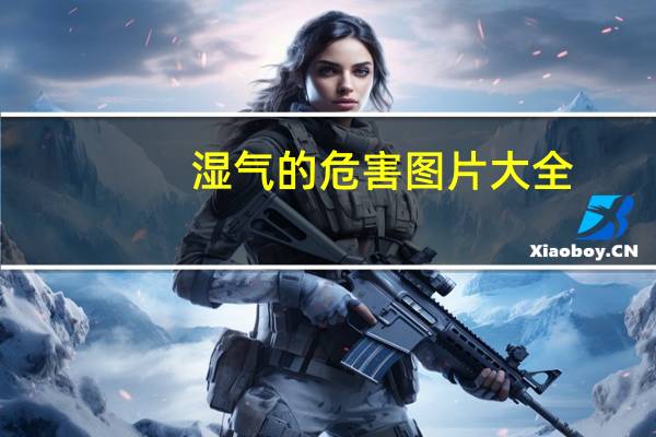 湿气的危害图片大全（湿气的危害）