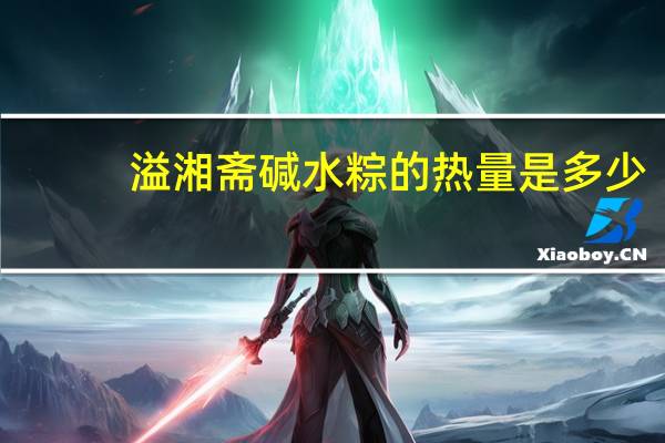 溢湘斋 碱水粽的热量是多少