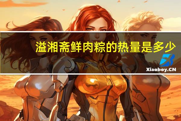 溢湘斋 鲜肉粽的热量是多少