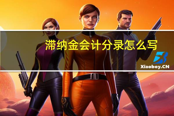 滞纳金会计分录怎么写（滞纳金会计分录怎么做）