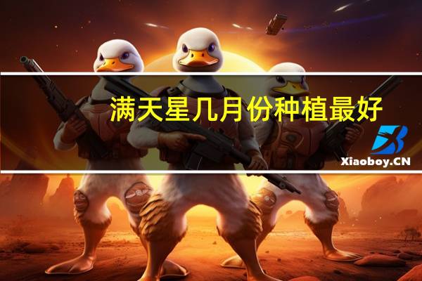 满天星几月份种植最好