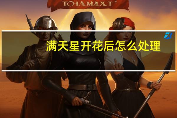 满天星开花后怎么处理