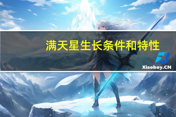 满天星生长条件和特性