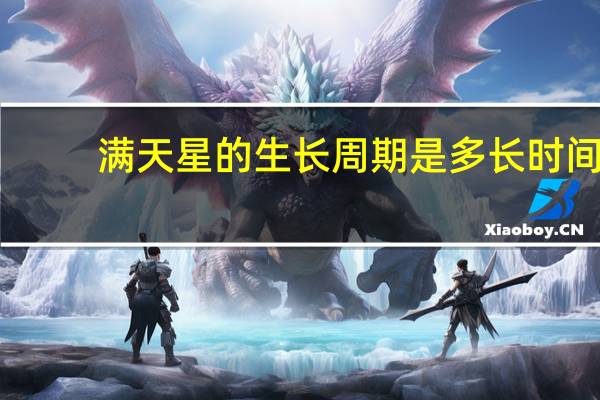 满天星的生长周期是多长时间