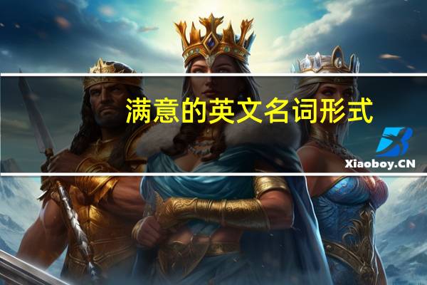 满意的英文名词形式