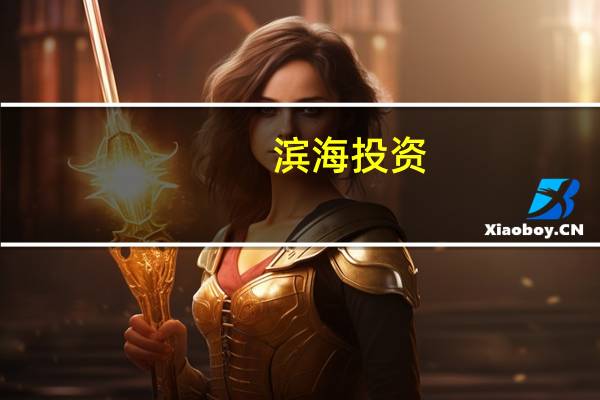 滨海投资(02886) 到底什么情况嘞