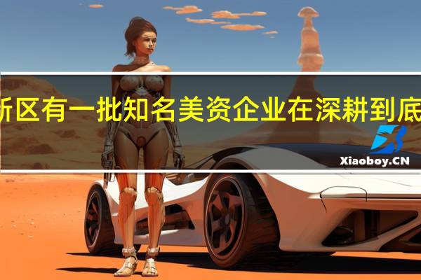 滨海新区有一批知名美资企业在深耕 到底什么情况嘞