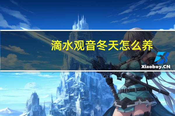 滴水观音冬天怎么养
