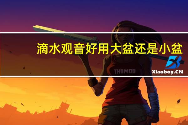 滴水观音好用大盆还是小盆