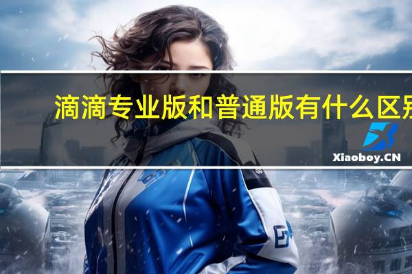 滴滴专业版和普通版有什么区别