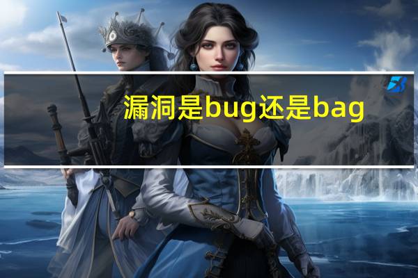 漏洞是bug还是bag