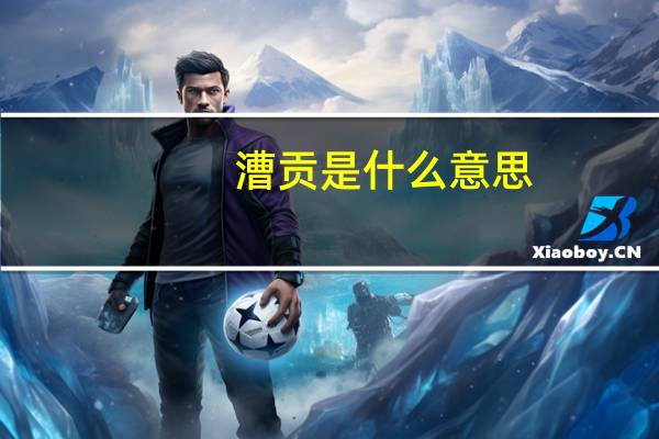 漕贡是什么意思