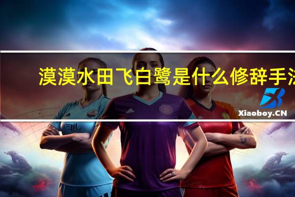 漠漠水田飞白鹭是什么修辞手法