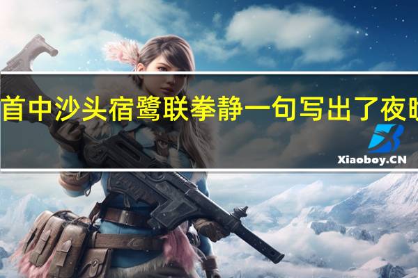 漫成一首中沙头宿鹭联拳静一句写出了夜晚沙滩的什么