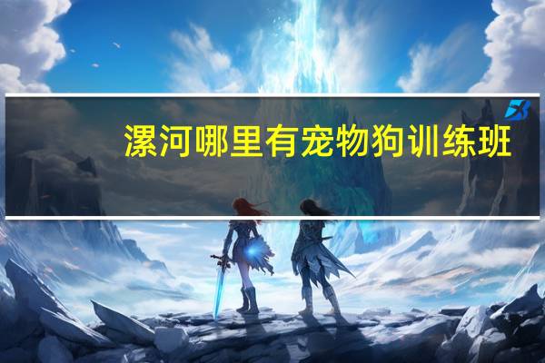 漯河哪里有宠物狗训练班