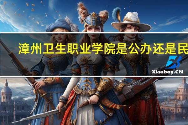 漳州卫生职业学院是公办还是民办