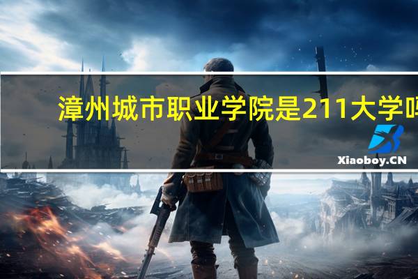 漳州城市职业学院是211大学吗