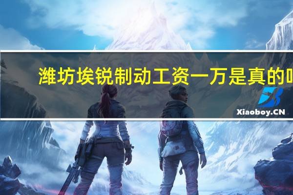 潍坊埃锐制动工资一万是真的吗