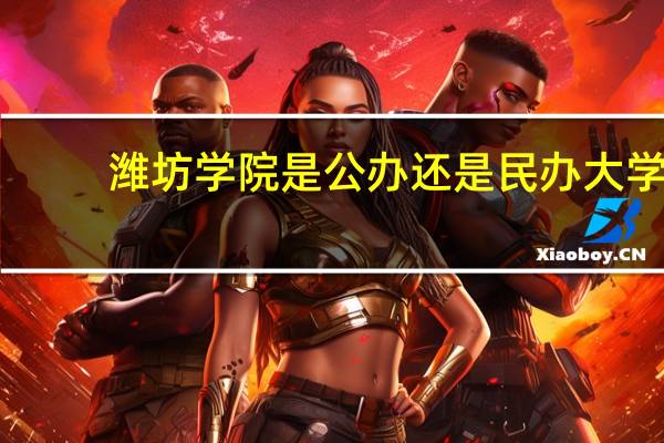 潍坊学院是公办还是民办大学?