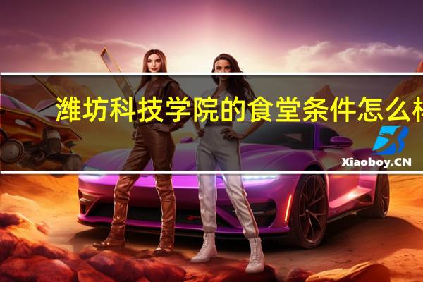 潍坊科技学院的食堂条件怎么样