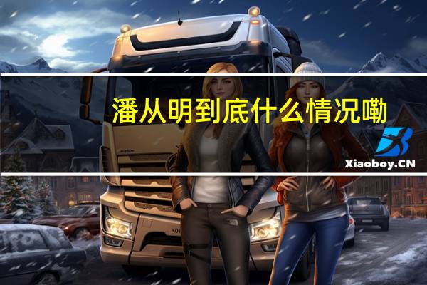潘从明 到底什么情况嘞