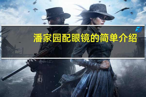 潘家园配眼镜的简单介绍