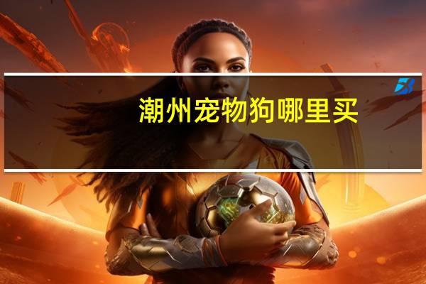 潮州宠物狗哪里买
