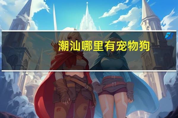 潮汕哪里有宠物狗