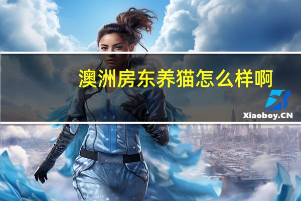 澳洲房东养猫怎么样啊