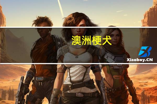 澳洲梗犬