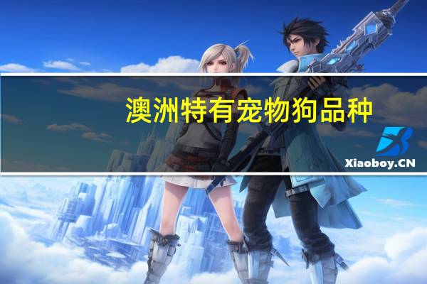 澳洲特有宠物狗品种