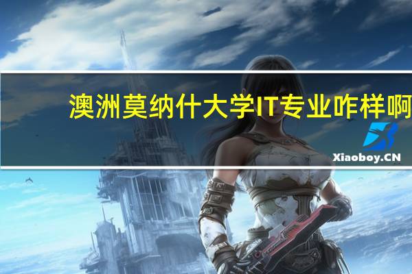 澳洲莫纳什大学IT专业咋样啊