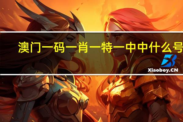 澳门一码一肖一特一中中什么号码，倏忽精选答案落实_LF4.5