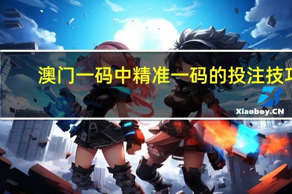 澳门一码中精准一码的投注技巧,哑巴精选解释落实_V82.18.18
