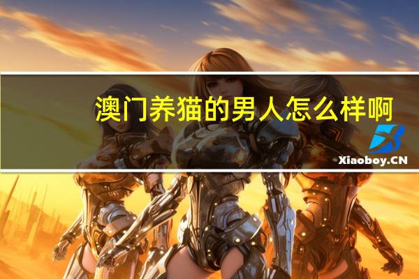 澳门养猫的男人怎么样啊