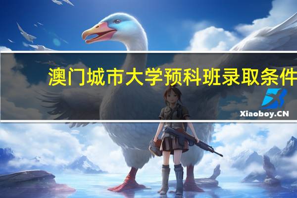 澳门城市大学预科班录取条件